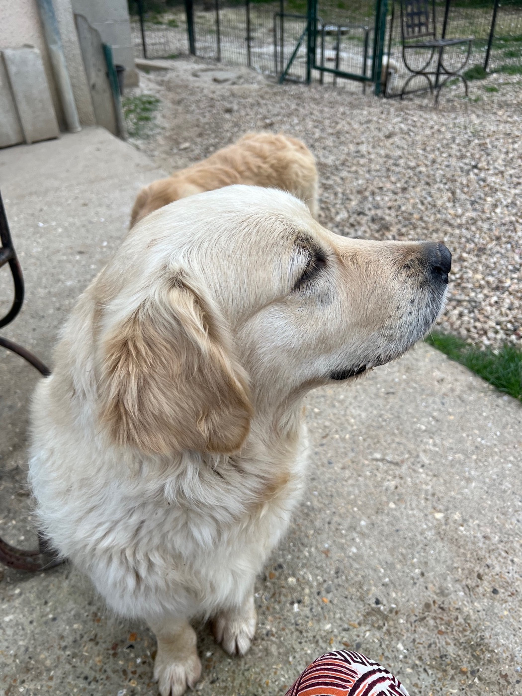 Victoria des sables d'ipaména