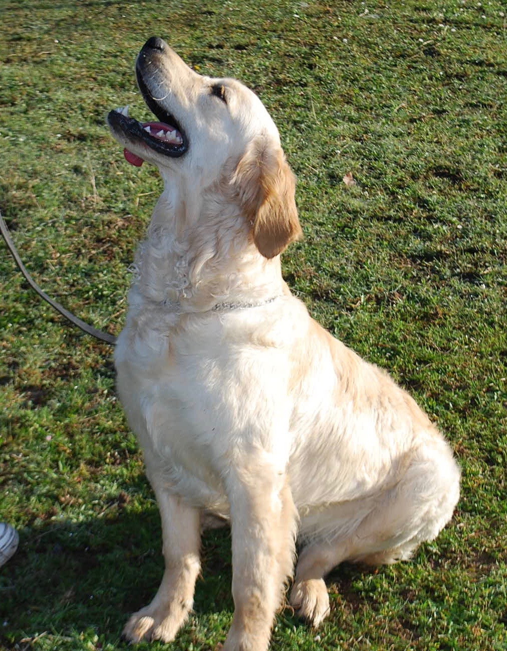 Upanishad prend sa retraite